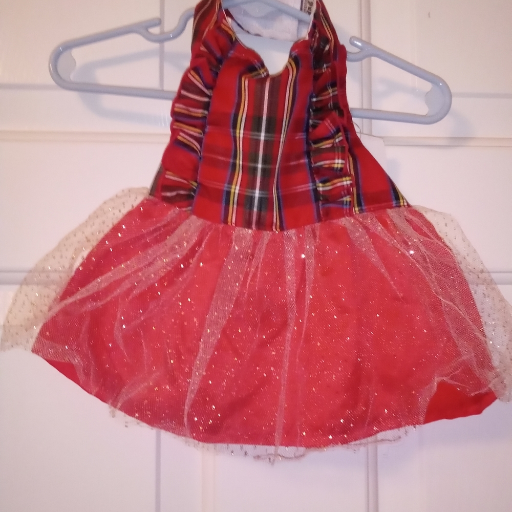 Small dogs dress
